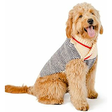 Spencer Hand Knit Dog Sweaters