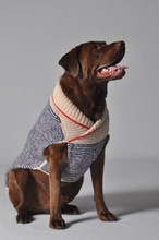 Spencer Hand Knit Dog Sweaters