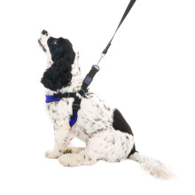 Escape Free Sport Pet Dog Harness - Blue
