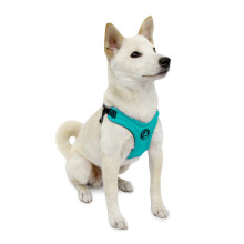 Escape Free Sport Pet Dog Harness - Turquoise