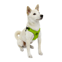 Escape Free Sport Pet Dog Harness - Lime Green