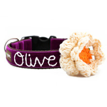 Olive Velvet Hand Embroidered Dog Collars - Dark Purple
