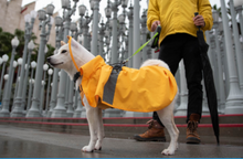 Clear Hooded Dog Rain Coat - Blue