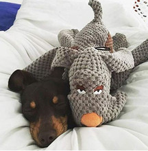 Floppy Dog Toys - Small