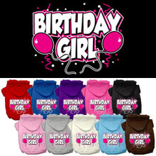 Birthday Girl Balloons Dog Hoodie