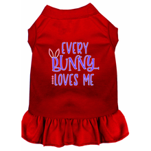 Every Bunny Loves Me Screen Print Dog Dresses - More Colors