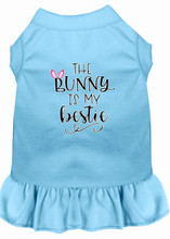 The Bunny is My Bestie Drool Screen Print Dog Dress -10 Colors