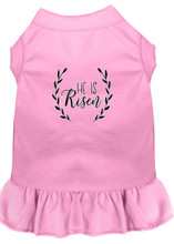 He is Risen Screen Print Dog Dress -10 Colors