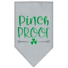 Pinch Proof Screen Print Tie-on Pet Dog Bandana