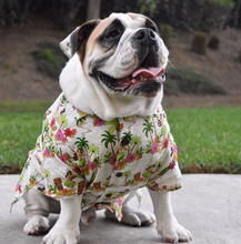 Cotton Hawaiian Hula Dancer Dog Shirt