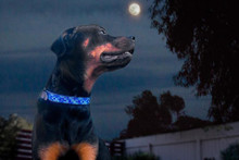 Moonbeam African Beaded Collar & Leash Collection