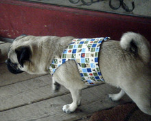 A Dogs Life Dog Harness