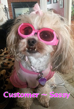 Pink w/ Sunset Mirror Lenses ILS Dog Sunglasses