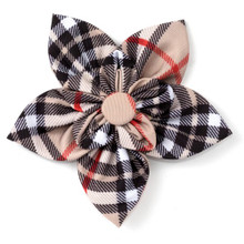 Bias Plaid Tan Pet Dog Collar Flower