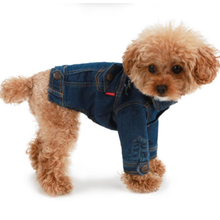 Puppy Angel Embroidered Denim Dog Jacket w/ Sleeves - Blue