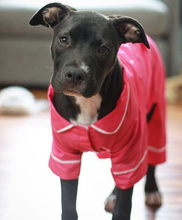 Hot Pink Poplin Cotton Dog Pajamas