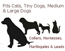 Cat or Dog Collar - Navy Whale on Kelly Green  - 1/2, 3/4 & 1 1/4