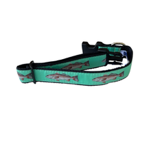 Redfish 3/4 & 1.25 inch Dog Collar, Harness