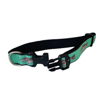 Redfish 3/4 & 1.25 inch Dog Collar, Harness