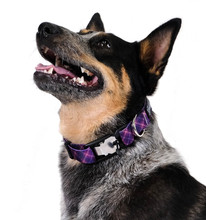 Swiftlock Dog Side Release 1" Collar - Mulberry Plaid