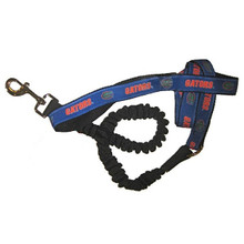 Florida Gators Bungee Ribbon Pet Leash