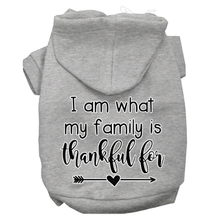 I Am What My Family Is Thankful For Dog Hoodie - More Colors