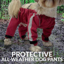 Bodyguard - Protective All-Weather Dog Pants - Black