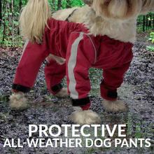 Bodyguard - Protective All-Weather Dog Pants - Red