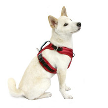 Pioneer Dog Harness - Sand