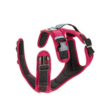 Pioneer Dog Harness - Sand