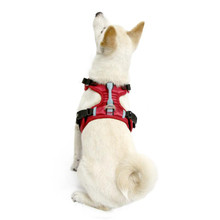 Pioneer Dog Harness - Red