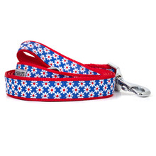 Daisies Pet Dog Collar & Optional Lead
