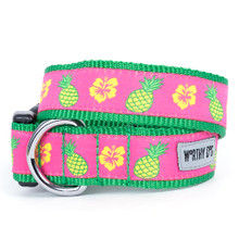 Pineapples Pet Dog Collar & Optional Lead