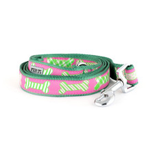 Preppy Bones Pink Pet Dog Collar & Optional Lead