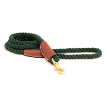 Auburn Leather Cotton Rope Leash with Leather Accents - Evergreen 