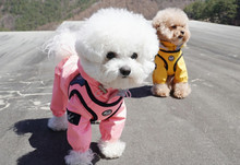 Puppy Angel Magagio Vivid Color Dog Harness - Buckle type - Black 