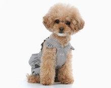  Puppy Angel Carina Volume Dog Pant Overall - Gray 