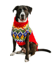 Chilly Dog Holiday Fairisle Wool Hand Knit Dog Sweaters 