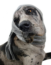 Muttluks MuTTuque Dog Hat