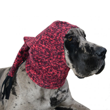 MuTTuque Dog Hat