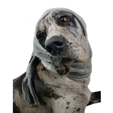 MuTTuque Dog Hat