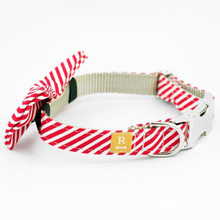 Rover Peppermint Stripe Bow Tie Dog Collar