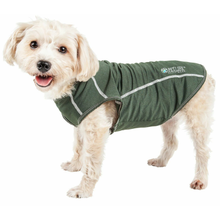 Racerbark 4-Way Stretch Performance Dog Tank - Olive Green