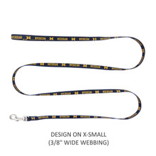 Little Earth Productions Michigan Wolverines Pet Nylon Leash - XS