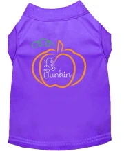 Lil Punkin Screen Print Dog Shirt - More Colors