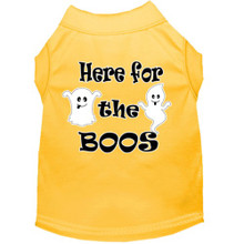 Here For The Boos Screen Print Dog Shirt - More Colors