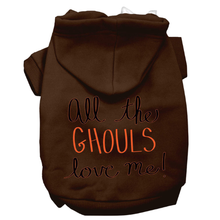 All The Ghouls Screenprint Dog Hoodie - More Colors