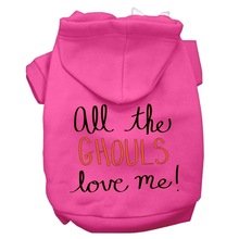 All The Ghouls Screenprint Dog Hoodie - More Colors