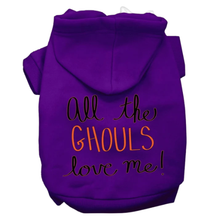 All The Ghouls Screenprint Dog Hoodie - More Colors