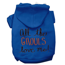 All The Ghouls Screenprint Dog Hoodie - More Colors